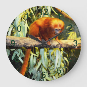 Golden Lion Tamarin Observation, Wall Clock Große Wanduhr