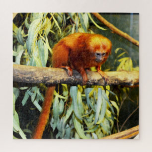 Golden Lion Tamarin Observed, Jigsaw Puzzle