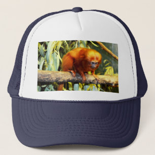 Golden Lion Tamarin Observed, Lastwagers Hat Truckerkappe