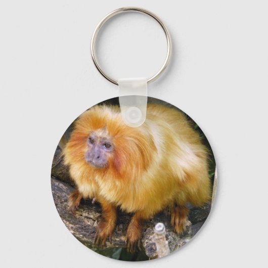 Golden Lion Tamarin Schlüsselanhänger (Vorderseite)