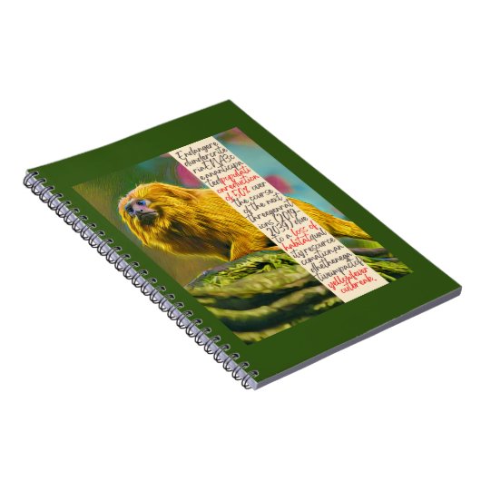 Golden Lion Tamarin Spiral Notebook Notizblock (Rechte Seite)