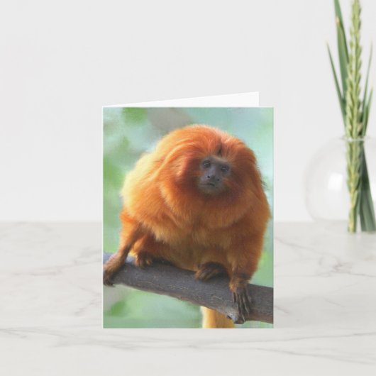 Golden-Löwe Tamarin-Mitteilungskarten Karte (Vorderseite)