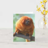 Golden-Löwe Tamarin-Mitteilungskarten Karte (Gelbe Blume)