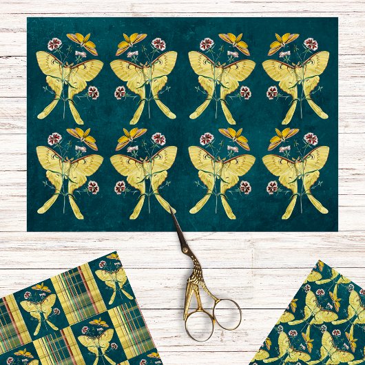 Golden Luna Moth mit Blume auf Aquamarin mit Karie Geschenkpapier Set