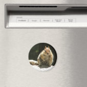 Golden-Managed-Ground-Eichhörnchen Magnet (In Situ (Geschirrspüler))