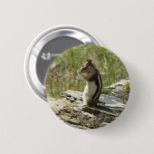 Golden Mantled Ground Eichhörnchen am Glacier I Button (Vorne & Hinten)