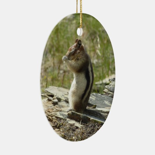 Golden Mantled Ground Eichhörnchen am Glacier I Keramik Ornament (Rechts)