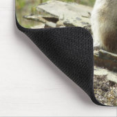 Golden Mantled Ground Eichhörnchen am Glacier I Mousepad (Ecke)