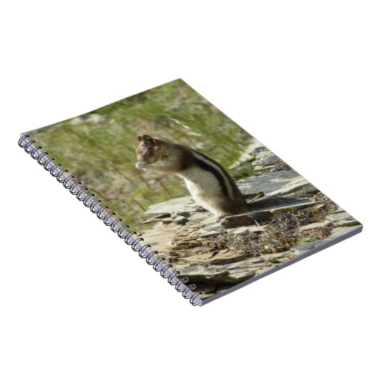 Golden Mantled Ground Eichhörnchen am Glacier I Notizblock (Rechte Seite)