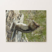 Golden Mantled Ground Eichhörnchen am Glacier I Puzzle (Horizontal)