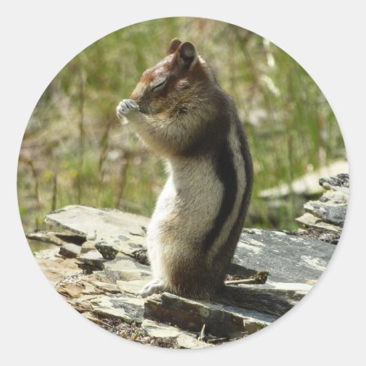 Golden Mantled Ground Eichhörnchen am Glacier I Runder Aufkleber (Vorderseite)