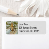 Golden Mantled Ground Eichhörnchen auf dem Rainier (Insitu)