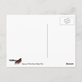 Golden Mantled Ground Eichhörnchen auf dem Rainier Postkarte (Rückseite)