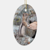 Golden Mantled Ground Eichhörnchen beim Glacier II Keramik Ornament (Rechts)