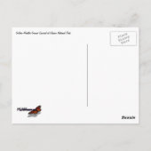 Golden Mantled Ground Eichhörnchen beim Glacier II Postkarte (Rückseite)