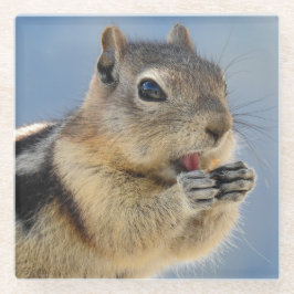 Golden Mantled Ground Eichhörnchen Glass Untersetz Glasuntersetzer