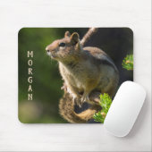 Golden Mantled Ground Eichhörnchen Mousepad (Mit Mouse)