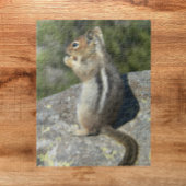 Golden Mantled Ground Eichhörnchen Nature Foto Puzzle