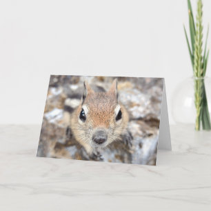 Golden Mantled Ground Eichhörnchen Notecard Karte