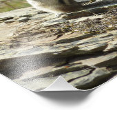 Golden-Mantled Ground Squirrel at Glacier Park Fotodruck (Ecke)