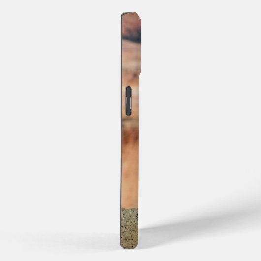 Golden Mantled Ground Squirrel Case-Mate iPhone Hülle (Rückseite / Rechts)