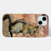 Golden Mantled Ground Squirrel Case-Mate iPhone Hülle (Rückseite (Horizontal))