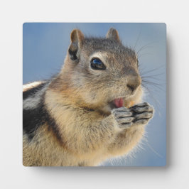 Golden Mantled Ground Squirrel Desktop Plaque Fotoplatte