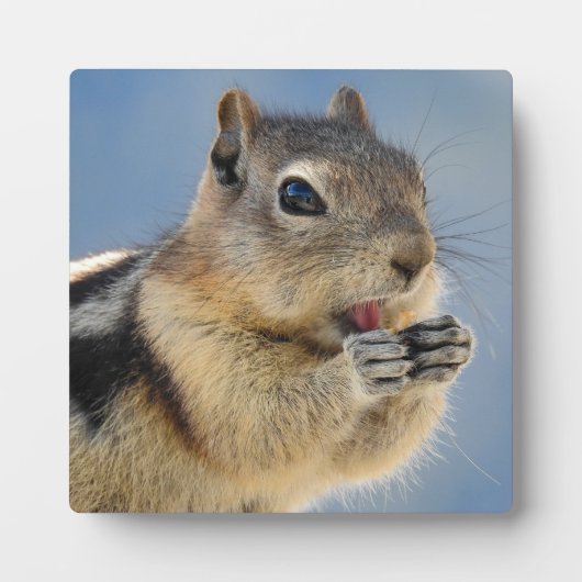 Golden Mantled Ground Squirrel Desktop Plaque Fotoplatte (Vorderseite)