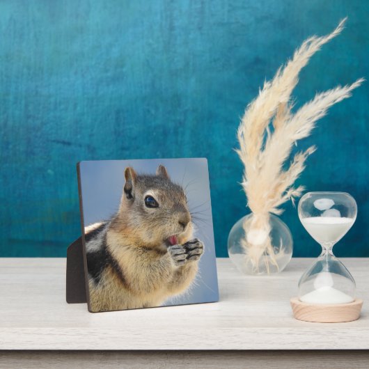 Golden Mantled Ground Squirrel Desktop Plaque Fotoplatte (InSitu)