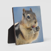 Golden Mantled Ground Squirrel Desktop Plaque Fotoplatte (Vorderseite)