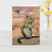 Golden Mantled Ground Squirrel Karte (Gelbe Blume)