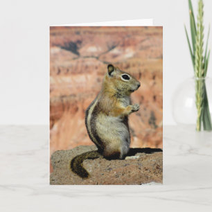 Golden Mantled Ground Squirrel Karte