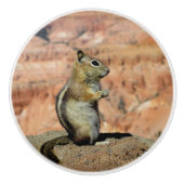 Golden Mantled Ground Squirrel Keramikknauf (Vorderseite)