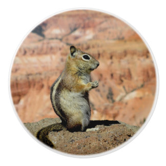 Golden Mantled Ground Squirrel Keramikknauf