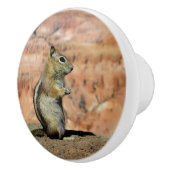 Golden Mantled Ground Squirrel Keramikknauf (Rechts)