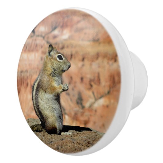 Golden Mantled Ground Squirrel Keramikknauf (Rechts)