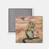 Golden Mantled Ground Squirrel Magnet (Vorderseite/Rückseite)