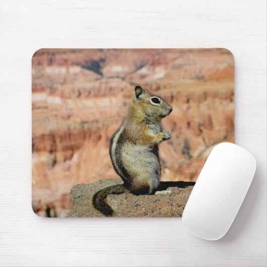 Golden Mantled Ground Squirrel Mousepad (Mit Mouse)