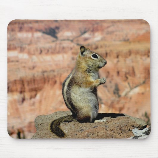 Golden Mantled Ground Squirrel Mousepad (Vorne)