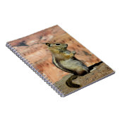 Golden Mantled Ground Squirrel Notizblock (Rechte Seite)