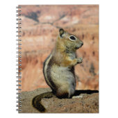 Golden Mantled Ground Squirrel Notizblock (Vorderseite)