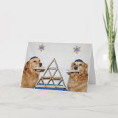 Golden Matzo Fun Pessach Karte (Vorderseite)