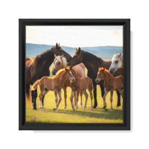 Golden Meadow Herde – Stuten & Fohlen Wandkunst