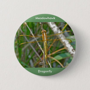 Golden Meadowhawk (Sympetrum) Dragonfly Items Button