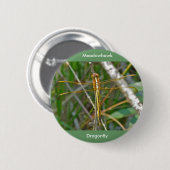 Golden Meadowhawk (Sympetrum) Dragonfly Items Button (Vorne & Hinten)