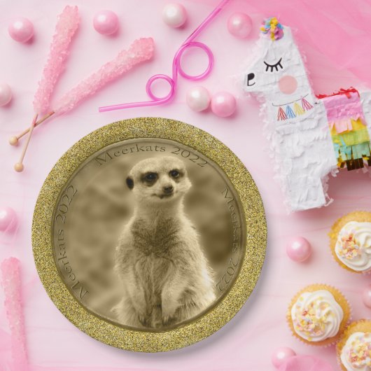 Golden Meerkat 2022 Coin, Paper Tellers Pappteller (Party)