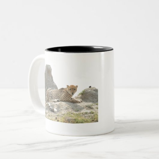Golden Mit Augen Cheetah on a Termite Mound, Botsw Zweifarbige Tasse (Vorderseite Links)
