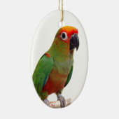 Golden-mit einer Kappe bedecktes conure Keramikornament (Rechts)