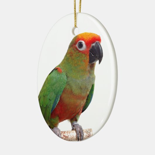 Golden-mit einer Kappe bedecktes conure Keramikornament (Links)