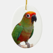 Golden-mit einer Kappe bedecktes conure Keramikornament (Vorne)